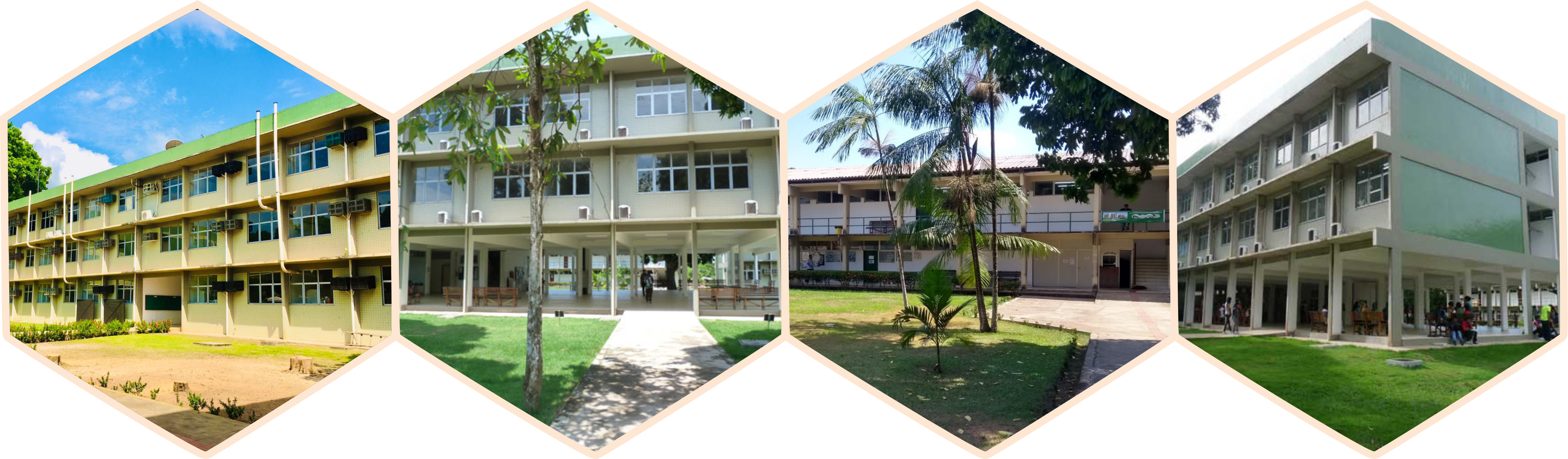 montagem com 4 fotos do icet/ufam